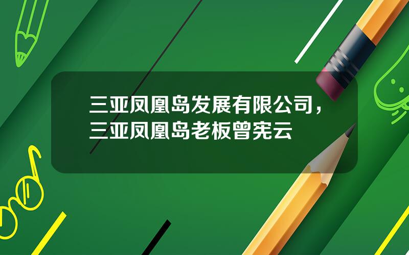 三亚凤凰岛发展有限公司，三亚凤凰岛老板曾宪云