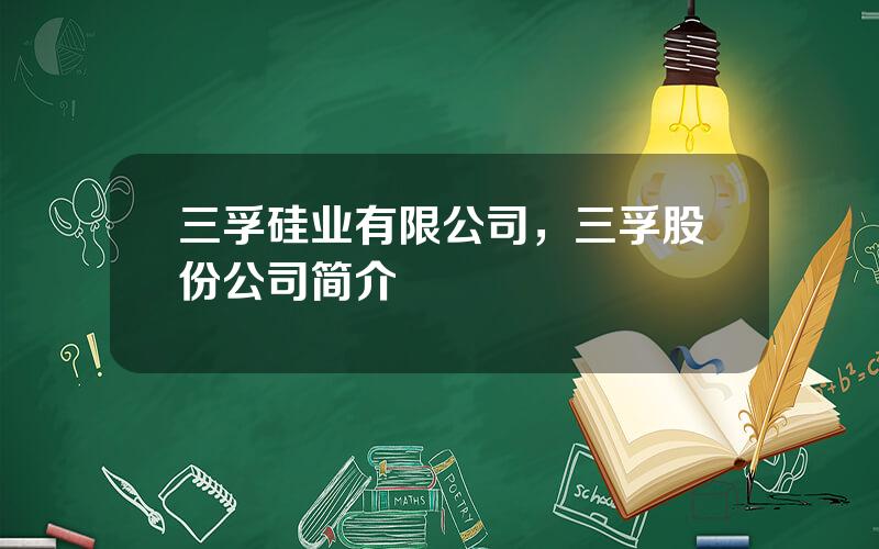 三孚硅业有限公司，三孚股份公司简介