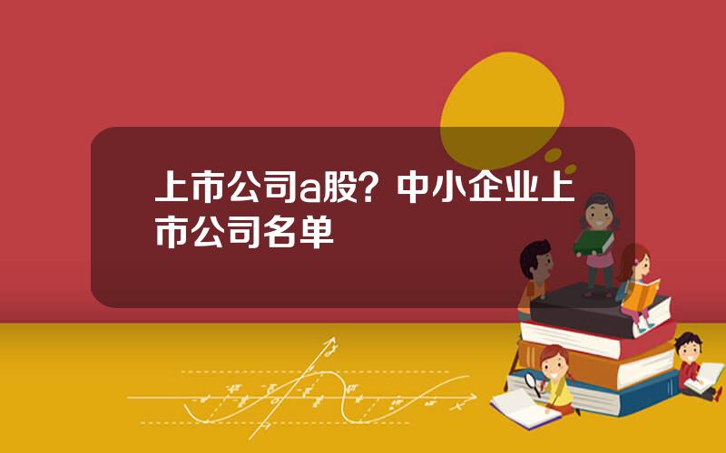 上市公司a股？中小企业上市公司名单