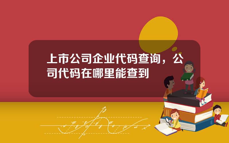 上市公司企业代码查询，公司代码在哪里能查到