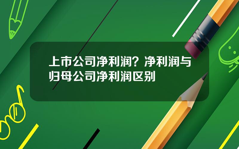 上市公司净利润？净利润与归母公司净利润区别