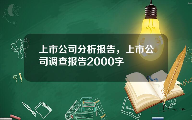 上市公司分析报告，上市公司调查报告2000字