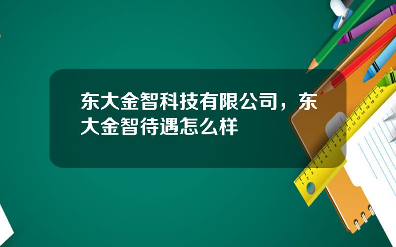 东大金智科技有限公司，东大金智待遇怎么样