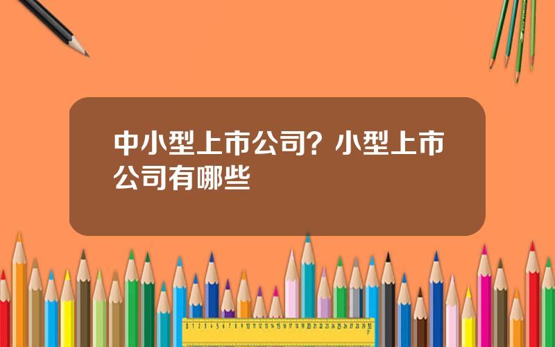 中小型上市公司？小型上市公司有哪些