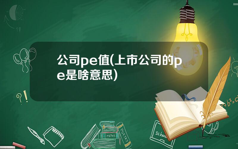 公司pe值(上市公司的pe是啥意思)