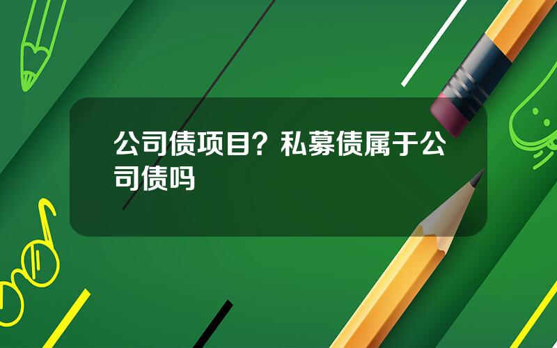 公司债项目？私募债属于公司债吗