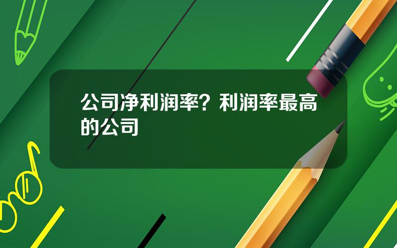 公司净利润率？利润率最高的公司