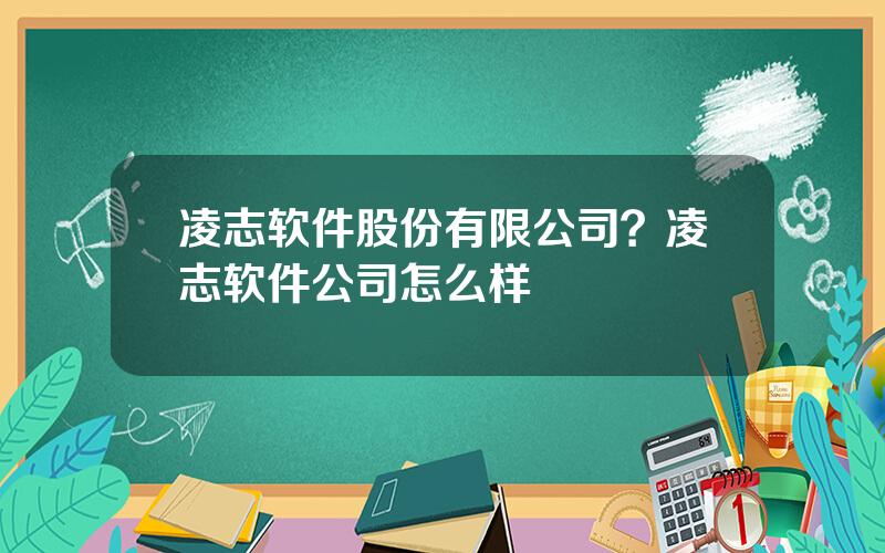 凌志软件股份有限公司？凌志软件公司怎么样