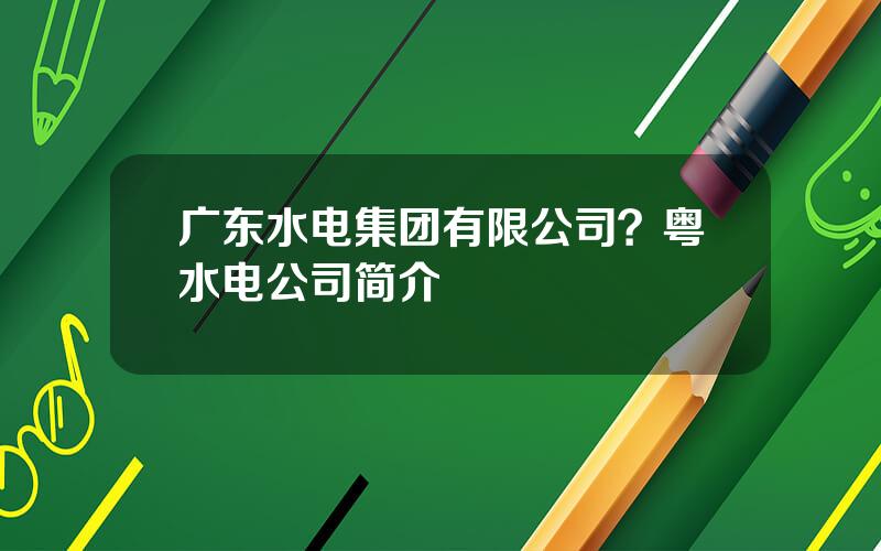 广东水电集团有限公司？粤水电公司简介