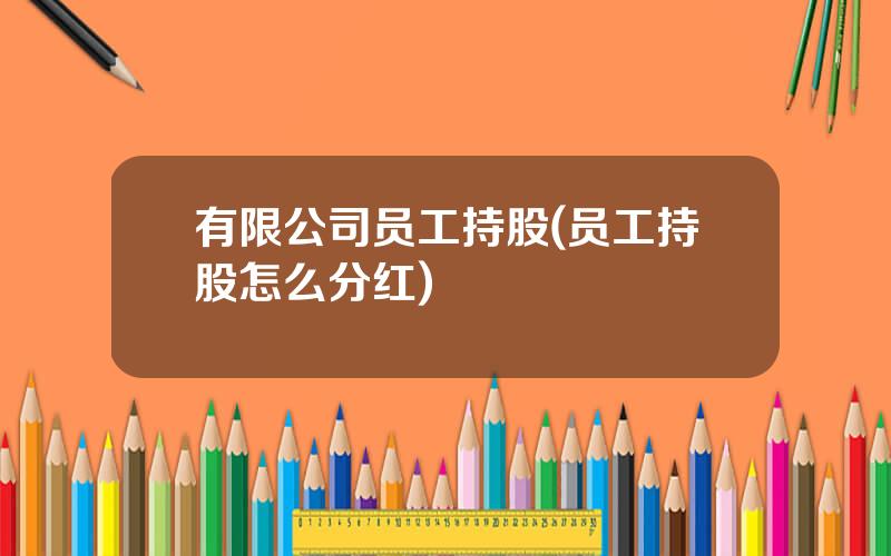 有限公司员工持股(员工持股怎么分红)