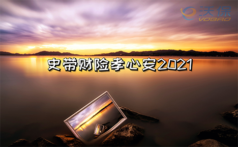 85岁也可投保！史带财险孝心安2021怎么样？特点？投保注意事项！_1